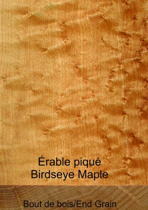Érable piqué