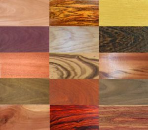 Wood species