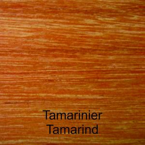 Tamarinier