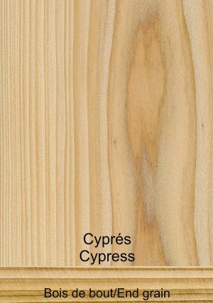 Cyprès chauve