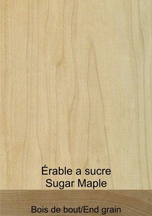 Érable a sucre