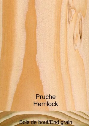 Pruche