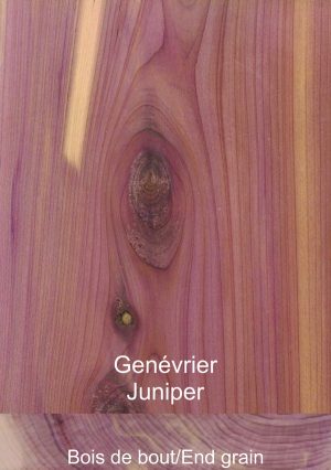 Genévrier