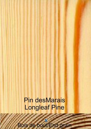 Pin des marais