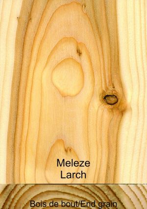 Mélèze