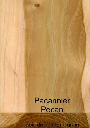 Pacanier