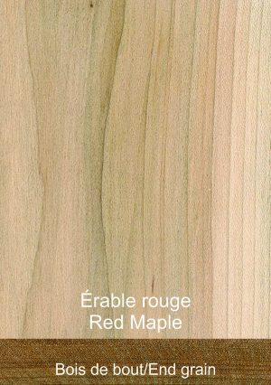 Érable rouge