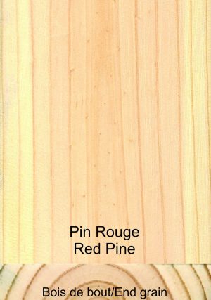 Pin rouge
