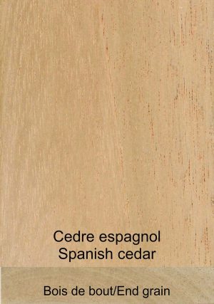 Cèdre espagnol