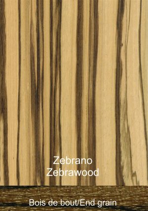 Zebrano