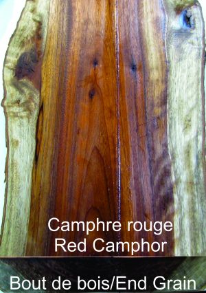Camphre Rouge