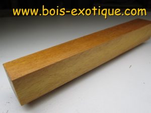 Bloc Garapa