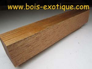 Bloc Cèdre espagnol