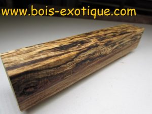 Bloc Chêne vert du sud (coti)