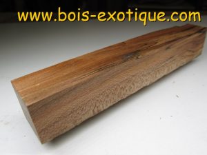 Bloc Cournouillier