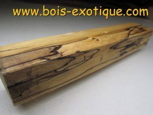 Bloc Érable Échauffé