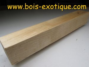 Bloc Érable Rouge