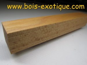Bloc Érable à sucre