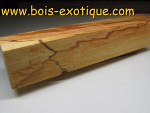 Bloc Érable à Giguère
