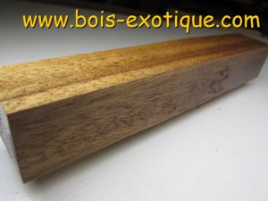 Bloc Noyer Africain