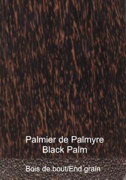 Palmier de Palmyre