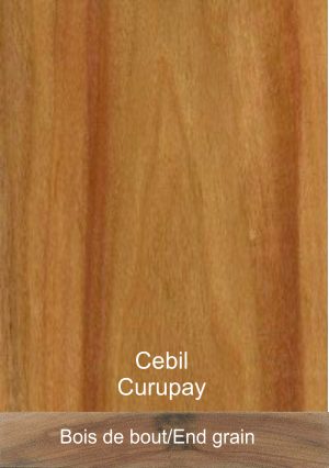 Cebil