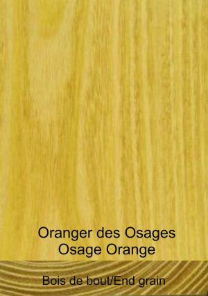 Oranger des Osages