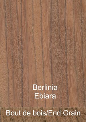 Berlinia