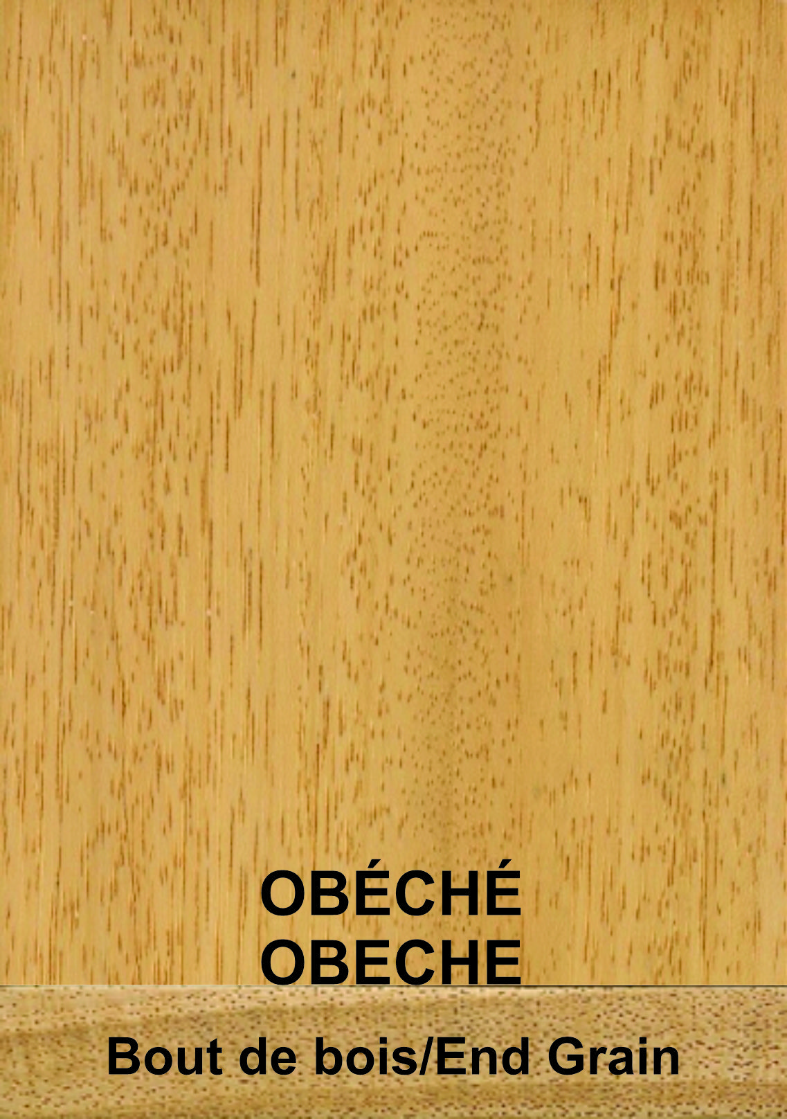 Obéché - Bois exotique