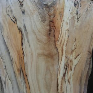 Spalted Elm block