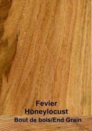 Févier