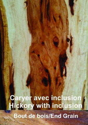 Caryer avec inclusions