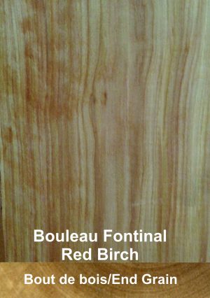 Bouleau Fontinal