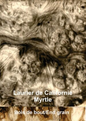 Loupe de Laurier de Californie