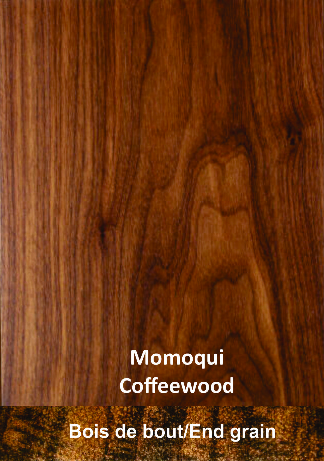 Momoqui
