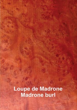 Loupe de Madrone