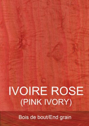 Ivoire Rose