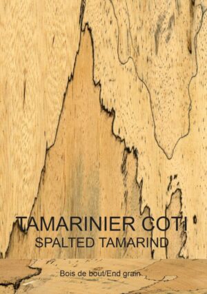 Tamarinier coti